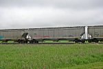 BNGX 40052